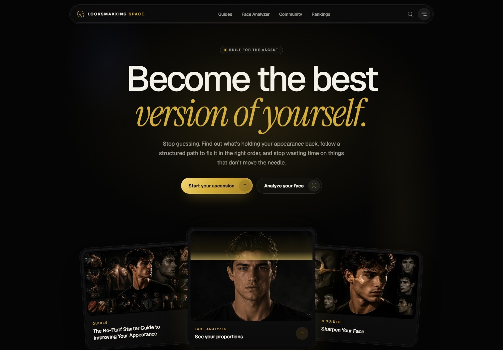 Looksmaxxing Space homepage: a dark interface headed “The Ultimate Looksmaxxing Library” with a button to assess your current level and a grid of guide categories.